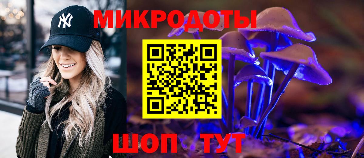 Галлюциногенные грибы Psilocybine cubensis  Вход с VPN  Шебекино 